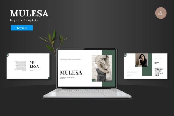 Choosing a Keynote Template: Evaluating the Mulesa Presentation System