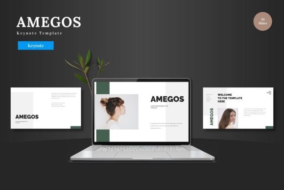 The Ultimate Guide to Choosing and Using the Amegos Keynote Template